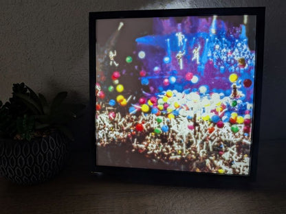 2011 Collection -  Illuminated Stash Project